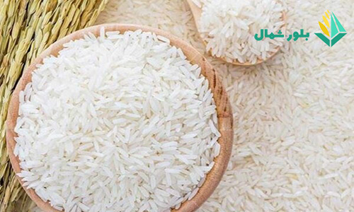 خرید برنج طارم روشن