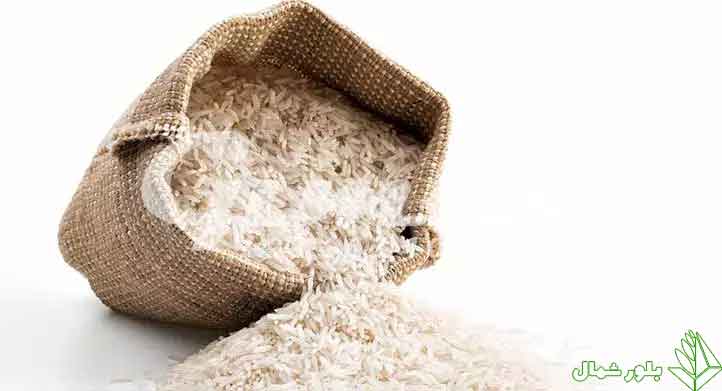 بررسی نکات مهم برای خرید برنج ایرانی