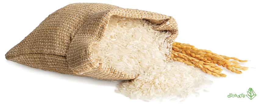 مقایسه قیمت یکی از نکات مهم برای خرید برنج ایرانی
