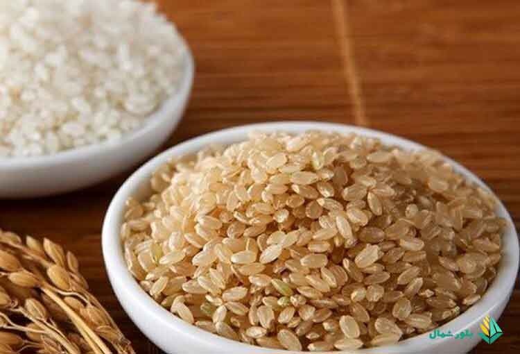 بررسی انواع تفاوت برنج سفید با قهوه ای